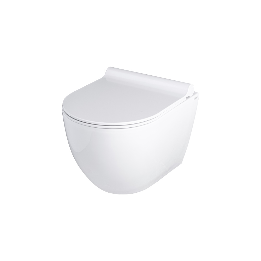 misa WC z deską wolnoopadającą