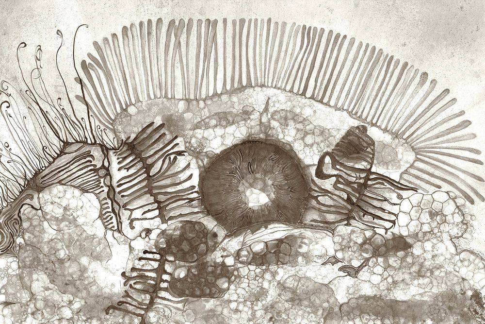 Mikroświat